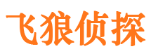 富川飞狼私家侦探公司